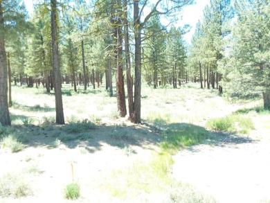 Discover Your Dream Homesite at Nakoma in the Lost Sierra Region on Nakoma Golf Resort in California - for sale on GolfHomes.com, golf home, golf lot