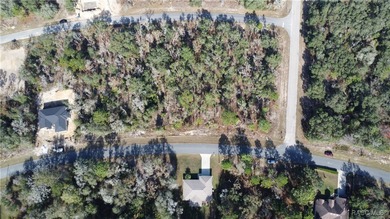 2 Lots in row. Altkey: 2050136(Lot 11) Altkey: 2050128 Lot 10) on Citrus Springs Country Club in Florida - for sale on GolfHomes.com, golf home, golf lot