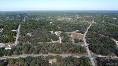 2 Lots in row. Altkey: 2050136(Lot 11) Altkey: 2050128 Lot 10) on Citrus Springs Country Club in Florida - for sale on GolfHomes.com, golf home, golf lot