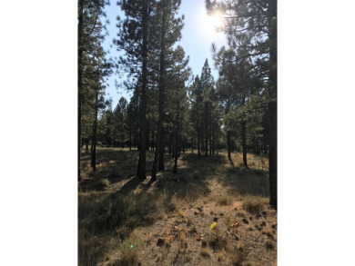 Check out this beautiful 2.04 acre wooded lot on the corner of on Nakoma Golf Resort in California - for sale on GolfHomes.com, golf home, golf lot