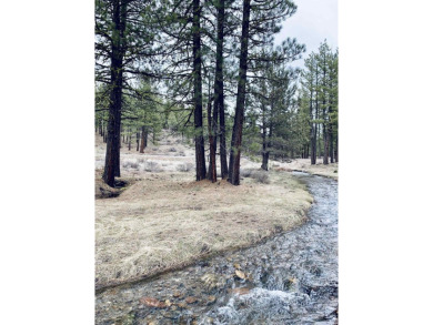 Check out this beautiful 2.04 acre wooded lot on the corner of on Nakoma Golf Resort in California - for sale on GolfHomes.com, golf home, golf lot