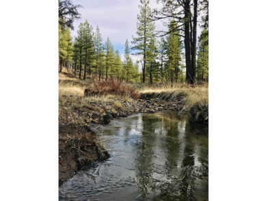 Check out this beautiful 2.04 acre wooded lot on the corner of on Nakoma Golf Resort in California - for sale on GolfHomes.com, golf home, golf lot