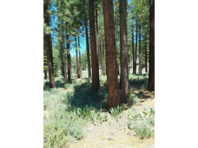 Check out this beautiful 2.04 acre wooded lot on the corner of on Nakoma Golf Resort in California - for sale on GolfHomes.com, golf home, golf lot