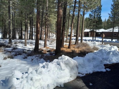 Check out this beautiful 2.04 acre wooded lot on the corner of on Nakoma Golf Resort in California - for sale on GolfHomes.com, golf home, golf lot