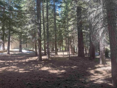 Level access golf course lot close to the Lake Almanor West boat on Lake Almanor West Golf Course in California - for sale on GolfHomes.com, golf home, golf lot