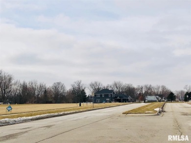 MARCH MADNESS SALE UNTIL APRIL 30TH! Now available...newly on Maple Lane Country Club in Illinois - for sale on GolfHomes.com, golf home, golf lot