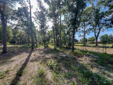 NO FLOOD ZONE, NO HOA, GOLF COURSE VIEWS!  Build your DREAM HOME on Cypress Run Golf Club - Pinellas in Florida - for sale on GolfHomes.com, golf home, golf lot