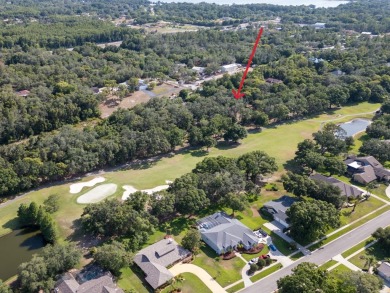 NO FLOOD ZONE, NO HOA, GOLF COURSE VIEWS!  Build your DREAM HOME on Cypress Run Golf Club - Pinellas in Florida - for sale on GolfHomes.com, golf home, golf lot