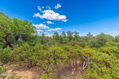 Discover the perfect canvas for your dream home on this .74-acre on The Golf Club At Chaparral Pines in Arizona - for sale on GolfHomes.com, golf home, golf lot