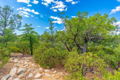 Discover the perfect canvas for your dream home on this .74-acre on The Golf Club At Chaparral Pines in Arizona - for sale on GolfHomes.com, golf home, golf lot