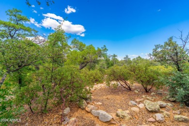 Discover the perfect canvas for your dream home on this .74-acre on The Golf Club At Chaparral Pines in Arizona - for sale on GolfHomes.com, golf home, golf lot