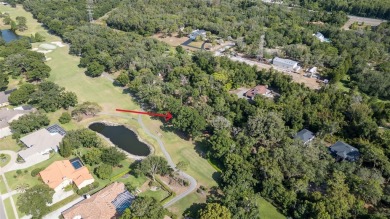 NO FLOOD ZONE, NO HOA, GOLF COURSE VIEWS!  Build your DREAM HOME on Cypress Run Golf Club - Pinellas in Florida - for sale on GolfHomes.com, golf home, golf lot