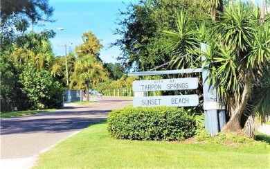 NO FLOOD ZONE, NO HOA, GOLF COURSE VIEWS!  Build your DREAM HOME on Cypress Run Golf Club - Pinellas in Florida - for sale on GolfHomes.com, golf home, golf lot