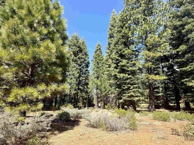 This excellent corner lot has breathtaking views of the 5th on Bailey Creek Golf Course in California - for sale on GolfHomes.com, golf home, golf lot