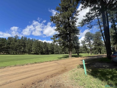 Beautiful 3-Bedroom Golf Course Home in Pendaries. Discover on Pendaries Village Community Assoc. in New Mexico - for sale on GolfHomes.com, golf home, golf lot