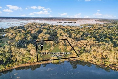 HIGH ELEVATION, WHICH MEANS NO FLOOD INSURANCE.  SPACE,  1.54 OF on Sapelo Hammock Golf Club in Georgia - for sale on GolfHomes.com, golf home, golf lot