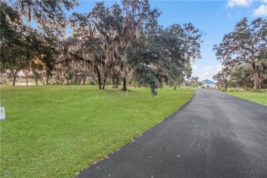 HIGH ELEVATION, WHICH MEANS NO FLOOD INSURANCE.  SPACE,  1.54 OF on Sapelo Hammock Golf Club in Georgia - for sale on GolfHomes.com, golf home, golf lot