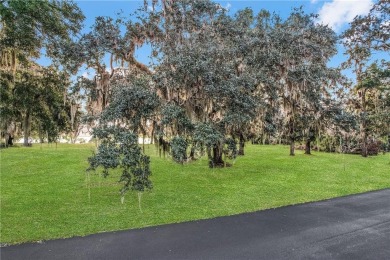 HIGH ELEVATION, WHICH MEANS NO FLOOD INSURANCE.  SPACE,  1.54 OF on Sapelo Hammock Golf Club in Georgia - for sale on GolfHomes.com, golf home, golf lot