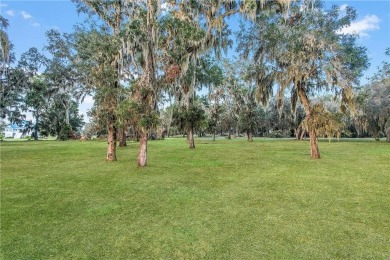 HIGH ELEVATION, WHICH MEANS NO FLOOD INSURANCE.  SPACE,  1.54 OF on Sapelo Hammock Golf Club in Georgia - for sale on GolfHomes.com, golf home, golf lot