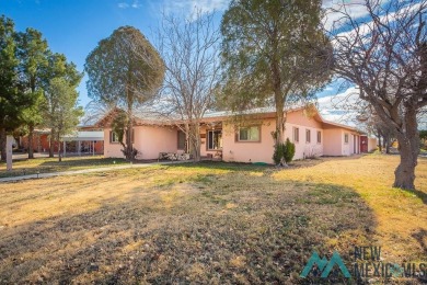 Cheerful, warm and inviting, this unique home is brimming with on Spring River Golf Course in New Mexico - for sale on GolfHomes.com, golf home, golf lot