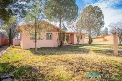 Cheerful, warm and inviting, this unique home is brimming with on Spring River Golf Course in New Mexico - for sale on GolfHomes.com, golf home, golf lot