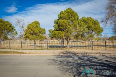 Cheerful, warm and inviting, this unique home is brimming with on Spring River Golf Course in New Mexico - for sale on GolfHomes.com, golf home, golf lot