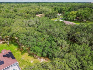 Welcome to 292 N Indianapolis Ave--a unique opportunity to own a on Citrus Hills Golf Club in Florida - for sale on GolfHomes.com, golf home, golf lot