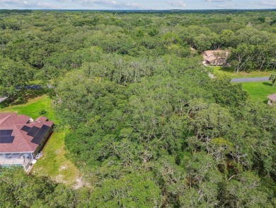 Welcome to 292 N Indianapolis Ave--a unique opportunity to own a on Citrus Hills Golf Club in Florida - for sale on GolfHomes.com, golf home, golf lot