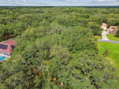 Welcome to 292 N Indianapolis Ave--a unique opportunity to own a on Citrus Hills Golf Club in Florida - for sale on GolfHomes.com, golf home, golf lot