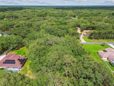 Welcome to 292 N Indianapolis Ave--a unique opportunity to own a on Citrus Hills Golf Club in Florida - for sale on GolfHomes.com, golf home, golf lot