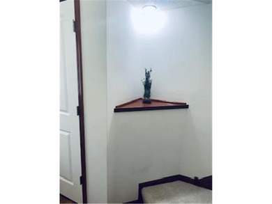 Multi-level walkout townhome with mature pine tree privacy on Deer Run Golf Club in Minnesota - for sale on GolfHomes.com, golf home, golf lot