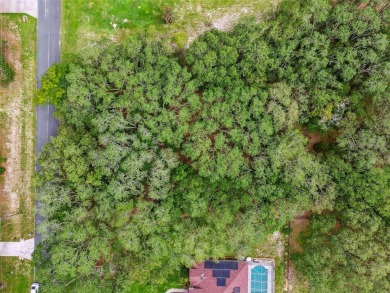 Welcome to 292 N Indianapolis Ave--a unique opportunity to own a on Citrus Hills Golf Club in Florida - for sale on GolfHomes.com, golf home, golf lot