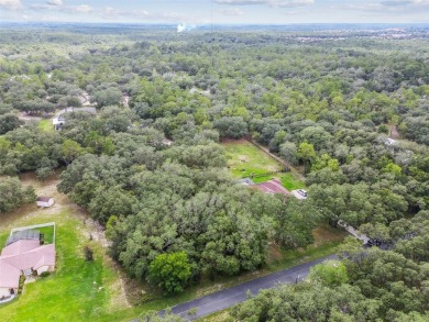 Welcome to 292 N Indianapolis Ave--a unique opportunity to own a on Citrus Hills Golf Club in Florida - for sale on GolfHomes.com, golf home, golf lot