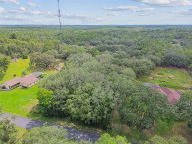 Welcome to 292 N Indianapolis Ave--a unique opportunity to own a on Citrus Hills Golf Club in Florida - for sale on GolfHomes.com, golf home, golf lot