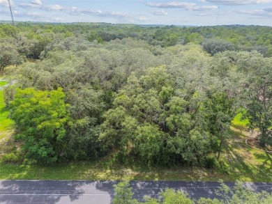 Welcome to 292 N Indianapolis Ave--a unique opportunity to own a on Citrus Hills Golf Club in Florida - for sale on GolfHomes.com, golf home, golf lot