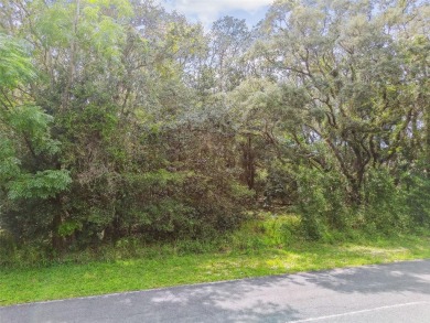 Welcome to 292 N Indianapolis Ave--a unique opportunity to own a on Citrus Hills Golf Club in Florida - for sale on GolfHomes.com, golf home, golf lot