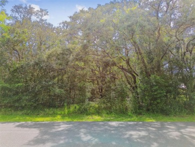 Welcome to 292 N Indianapolis Ave--a unique opportunity to own a on Citrus Hills Golf Club in Florida - for sale on GolfHomes.com, golf home, golf lot
