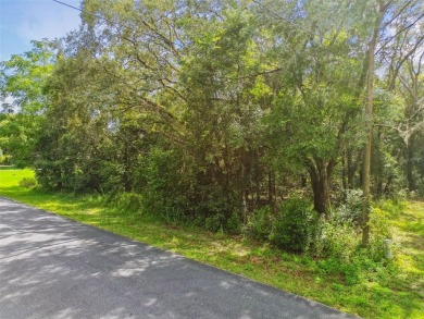 Welcome to 292 N Indianapolis Ave--a unique opportunity to own a on Citrus Hills Golf Club in Florida - for sale on GolfHomes.com, golf home, golf lot