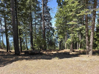 Great lakeview lot located on quiet street in Lake Almanor on Lake Almanor Country Club in California - for sale on GolfHomes.com, golf home, golf lot