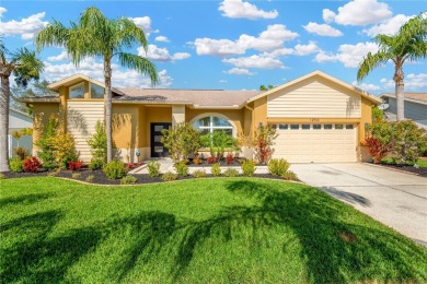 SELLER WILLING TO CONTRIBUTE $10,000 TOWARDS BUYERS CLOSING on Summerfield Crossing Golf Club in Florida - for sale on GolfHomes.com, golf home, golf lot