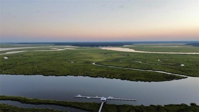 Take advantage of this beautiful lot behind the Coopers Point on Sapelo Hammock Golf Club in Georgia - for sale on GolfHomes.com, golf home, golf lot