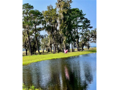 Take advantage of this beautiful lot behind the Coopers Point on Sapelo Hammock Golf Club in Georgia - for sale on GolfHomes.com, golf home, golf lot