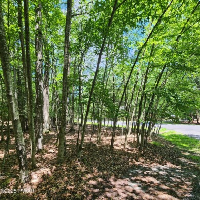 MOTIVATED SELLERS Ready to build? Look no further. This lot is on Paupack Hills Golf and Country Club in Pennsylvania - for sale on GolfHomes.com, golf home, golf lot