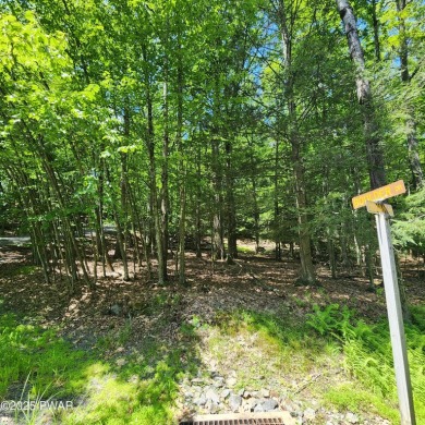 MOTIVATED SELLERS Ready to build? Look no further. This lot is on Paupack Hills Golf and Country Club in Pennsylvania - for sale on GolfHomes.com, golf home, golf lot