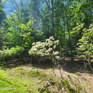 MOTIVATED SELLERS Ready to build? Look no further. This lot is on Paupack Hills Golf and Country Club in Pennsylvania - for sale on GolfHomes.com, golf home, golf lot