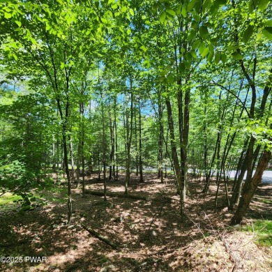 MOTIVATED SELLERS Ready to build? Look no further. This lot is on Paupack Hills Golf and Country Club in Pennsylvania - for sale on GolfHomes.com, golf home, golf lot