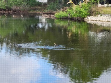 Awe inspiring views of the water and florida wildlife await you on Golden Lakes Golf Course in Florida - for sale on GolfHomes.com, golf home, golf lot