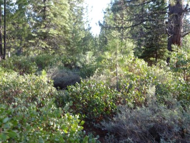 Fabulous location at #1 Tee Box, across from Bailey Creek Golf on Bailey Creek Golf Course in California - for sale on GolfHomes.com, golf home, golf lot