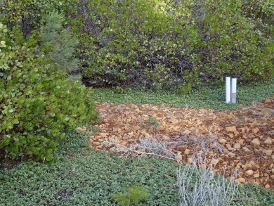 Fabulous location at #1 Tee Box, across from Bailey Creek Golf on Bailey Creek Golf Course in California - for sale on GolfHomes.com, golf home, golf lot