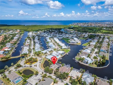 Seller willing to consider 12 month lease and owner partial on Apollo Beach Golf and Sea Club in Florida - for sale on GolfHomes.com, golf home, golf lot